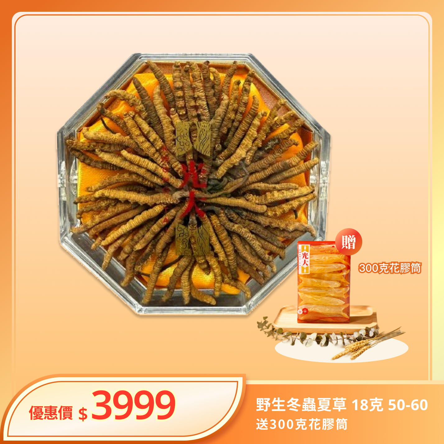 野生冬蟲夏草 18克 50-60