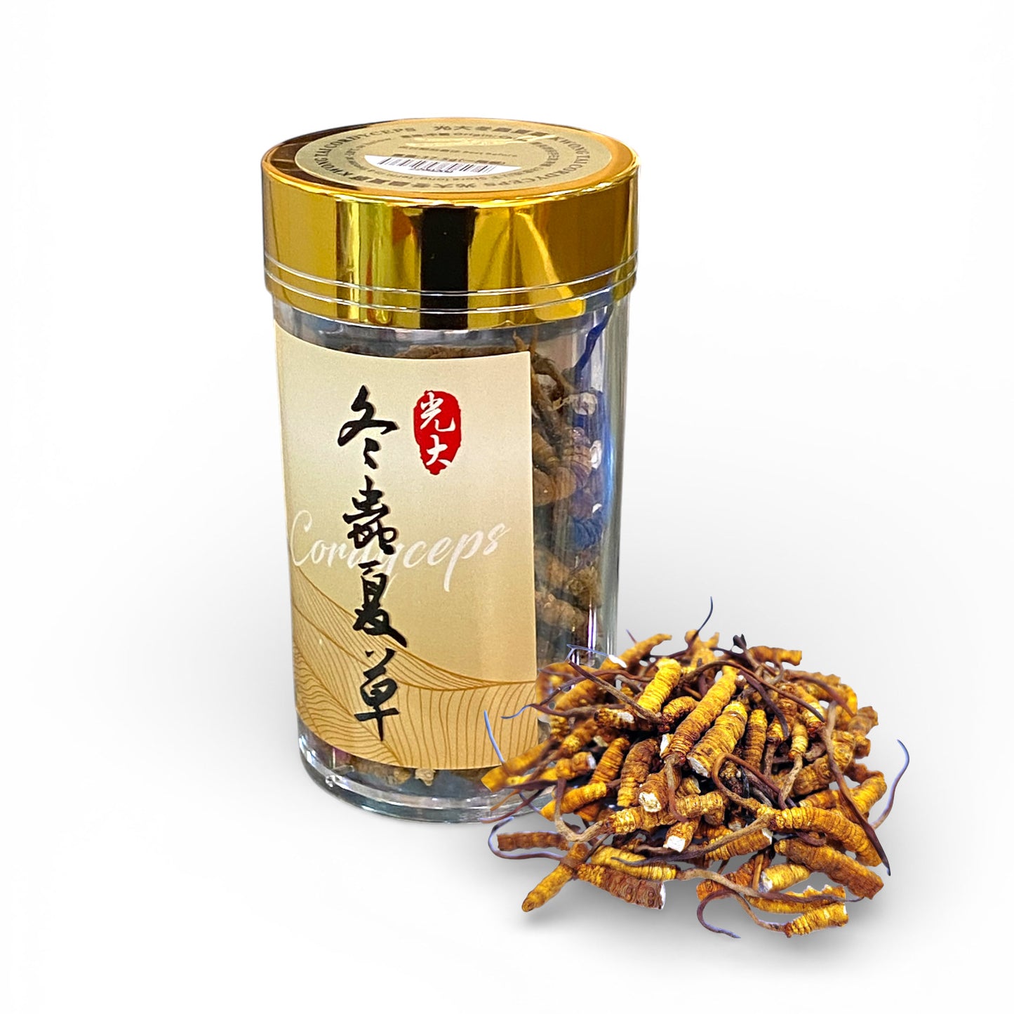 精過冬蟲夏草節 一兩裝