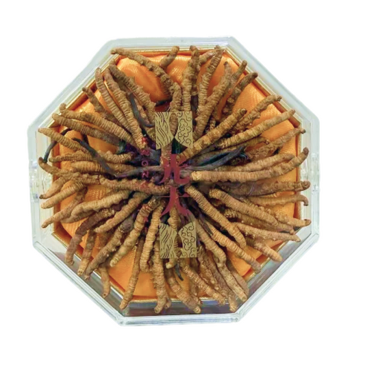 Selected Cordyceps