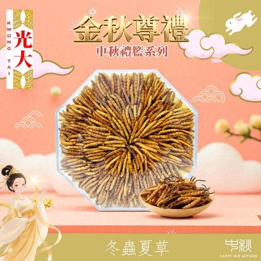 西藏冬蟲夏草