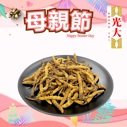 (自用)冬蟲夏草