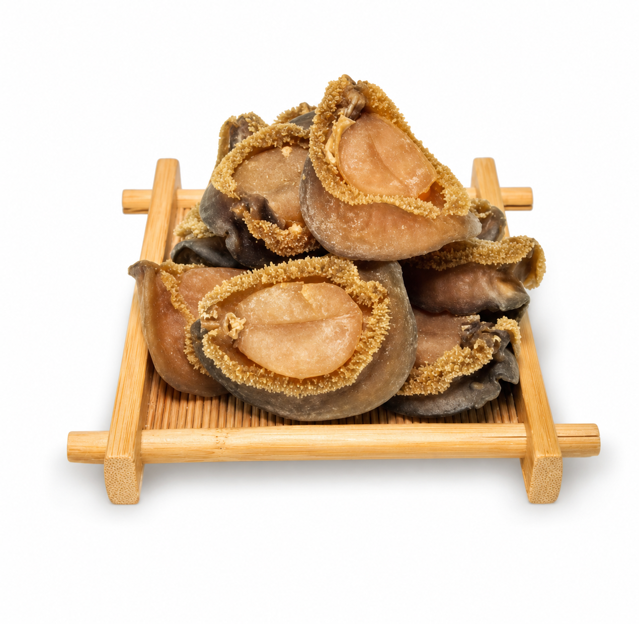 South African Abalone 33043