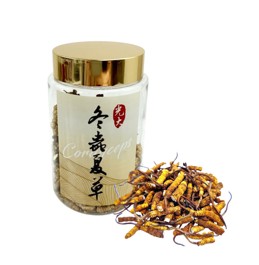 🌿 光大一兩裝蟲草節！