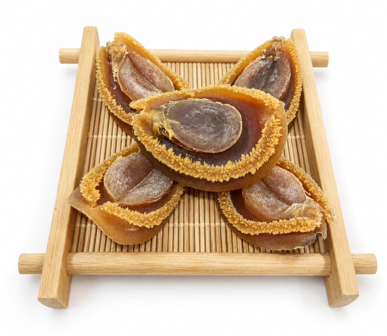South African Abalone 40