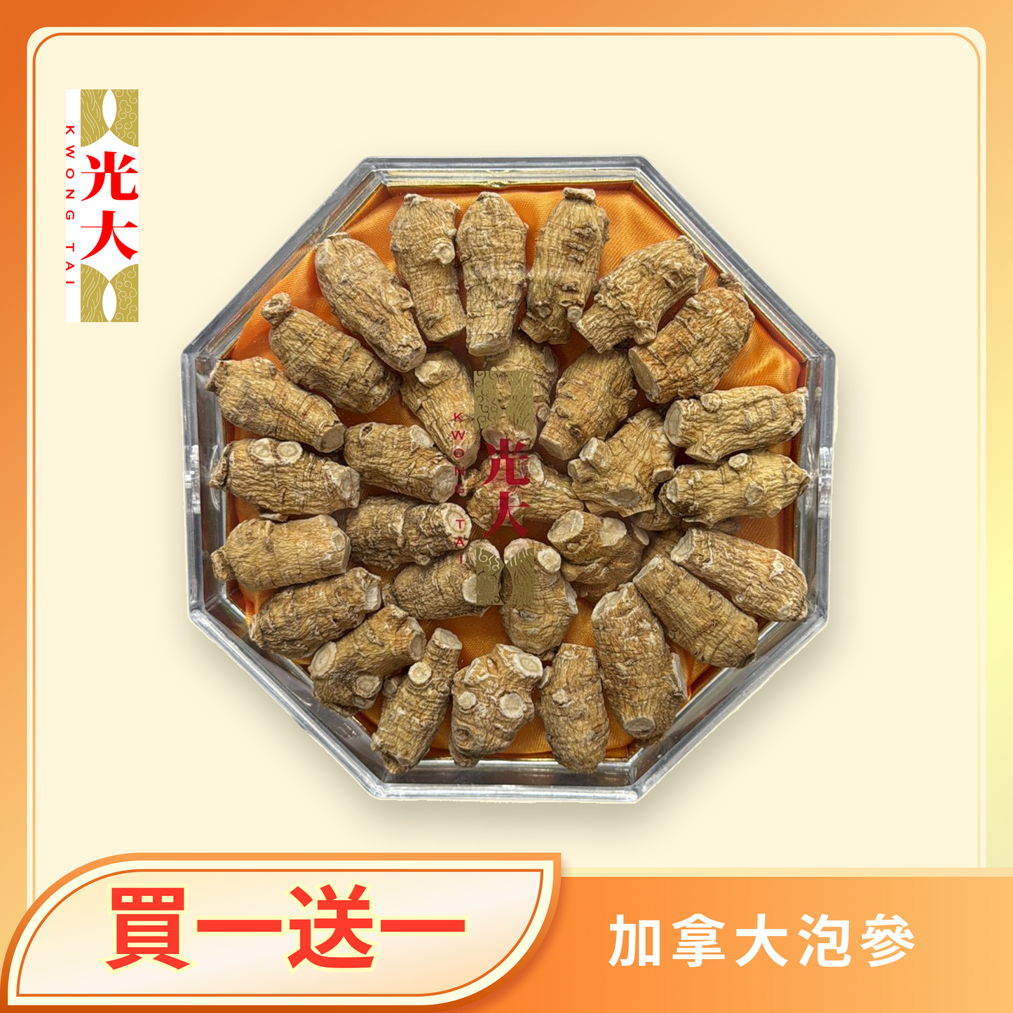 加拿大泡參（ 買一送一 ）