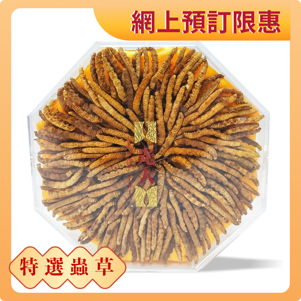 Tibetan Cordyceps