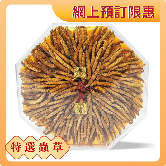 Tibetan Cordyceps