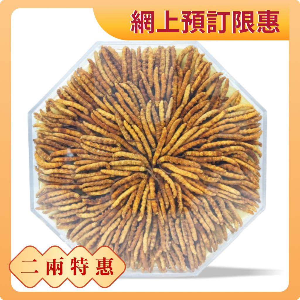 Tibetan Cordyceps 2 liang