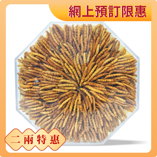 Tibetan Cordyceps 2 liang